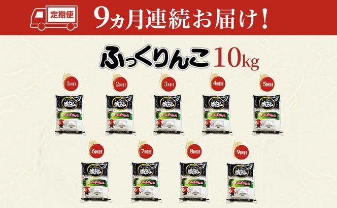 【9カ月定期便】北海道 木古内産 ふっくりんこ 10kg 特A 精米 米 お米 白米 北海道米 道産米 ブランド米 ごはん ご飯 おにぎり ふっくら 産地直送 木古内公益振興社 送料無料