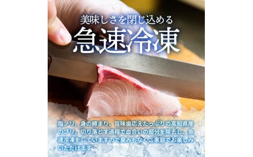 ぶり 切り落とし 約900g （約150g×6パック） ブリ 鰤 切り身 魚 魚介 パック 高知県産 国産 冷凍配送 おかず お弁当 料理 刺身 ぶりしゃぶ 照り焼き 刺身 刺し身 便利 たっぷり 美味しい おいしい