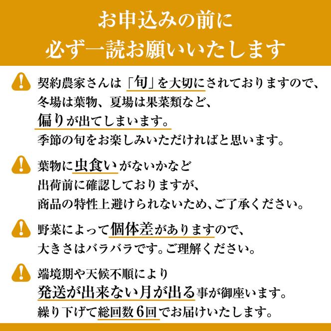 【定期便6回】＜京野菜の京都やおよし＞丹波野菜詰め合わせ お米2kgのセット《栽培期間中農薬不使用 野菜》※北海道・沖縄・離島への発送不可