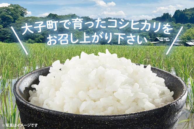 【先行予約】【2ヶ月定期便】令和6年産 大子産米コシヒカリ（白米）10kg×2ヶ月（CB006）