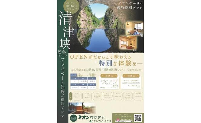 ミオンなかさと宿泊「清津峡渓谷トンネル」プライベート体験プラン 十日町 十日町市