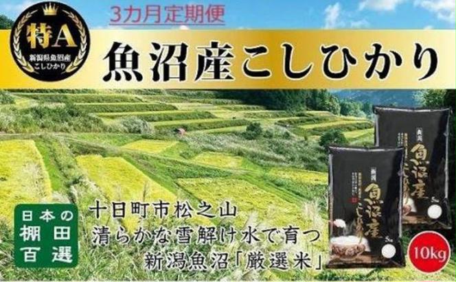 【令和6年産新米予約】3カ月 定期便 日本棚田百選のお米 天空の里 魚沼産 こしひかり 10kg(5kg×2)×3回 米 お米 コメ