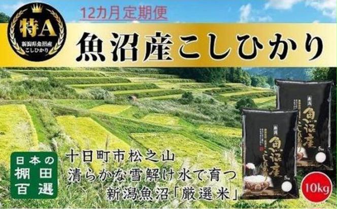 【令和6年産新米予約】12カ月 定期便 日本棚田百選のお米 天空の里 魚沼産 こしひかり 10kg(5kg×2)×12回 米 お米 コメ