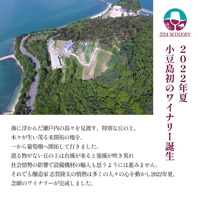 小豆島醸造 プティヴェルド 2023年 720ml×1本 ワイン 赤ワイン 国産 ぶどう 小豆島 箱入