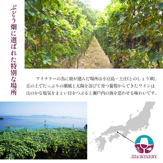 小豆島醸造 プティヴェルド 2023年 720ml×1本 ワイン 赤ワイン 国産 ぶどう 小豆島 箱入