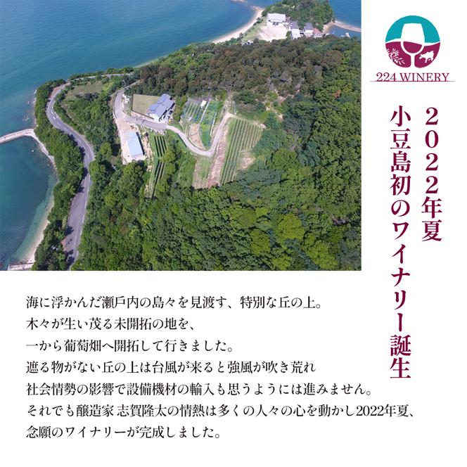 【ワイングラスセット】小豆島醸造 メルロー 2023年 720ml×1本&ブルゴーニュ型ワイングラス2脚 ワイン 国産