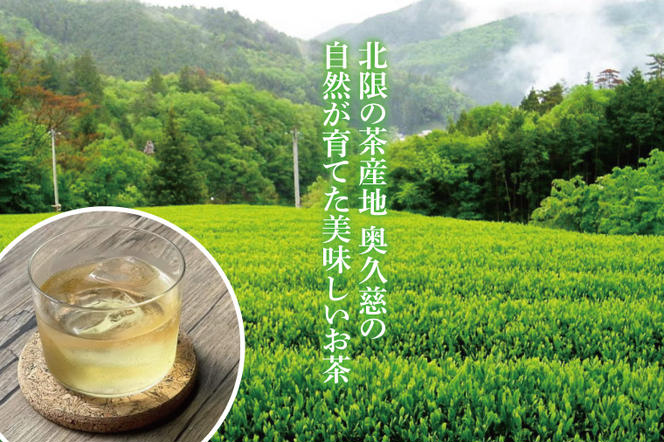 【農林水産大臣賞受賞】かねた園の奥久慈茶＆和紅茶のティーバッグ・粉末緑茶セット（茨ひよりパッケージ）（CK001）