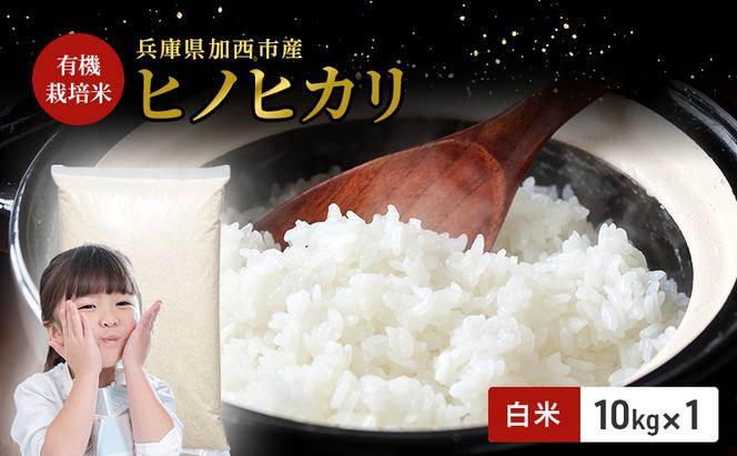 【令和7年度産 最速予約受付!】ヒノヒカリ 白米 10kg エコ  環境にやさしい おいしい お米 事業者支援 白米 精米 国産 ごはん ご飯 白飯 小分け
