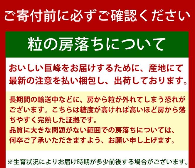 紀州和歌山産の巨峰ぶどう約2kg ※2025年8月下旬頃?9月上旬頃に順次発送予定