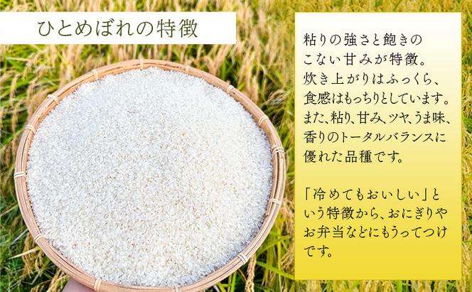 定期便 6回 (6か月間定期便) 令和6年度 宮城県産 ひとめぼれ 5kg お米 こめ コメ