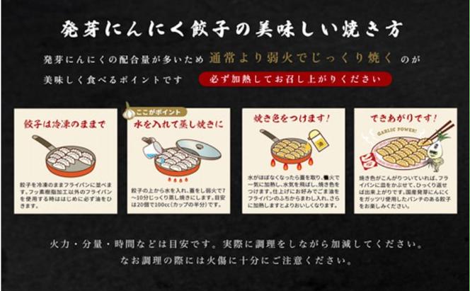 発芽にんにく餃子30個入り 餃子 にんにく にんにくたっぷり 国産にんにく 発芽にんにく 冷凍 臭わない 栄養価抜群 スタミナ 免疫アップ おつまみ おかず 総菜 餃子専門店 ぎょうざ 工場直売