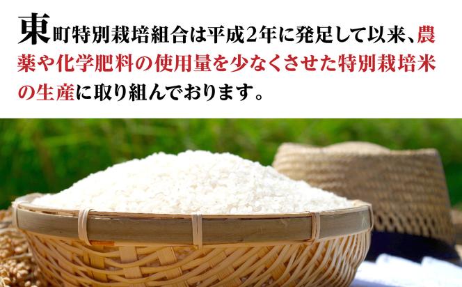 令和六年産特別栽培米 コシヒカリ 5kg お米 