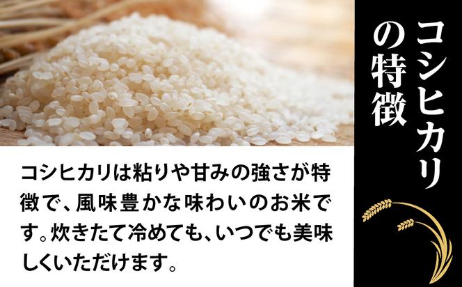 令和六年産特別栽培米 コシヒカリ 5kg お米 