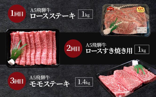 飛騨牛 A5 大満足 飛騨牛三昧  6か月 定期便 ステーキ すき焼き 焼肉