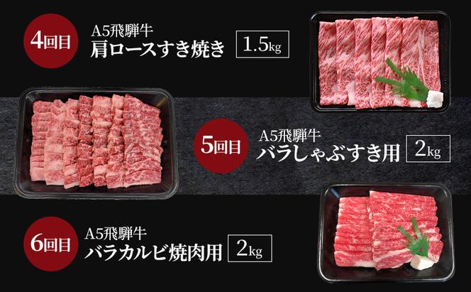 飛騨牛 A5 大満足 飛騨牛三昧  6か月 定期便 ステーキ すき焼き 焼肉