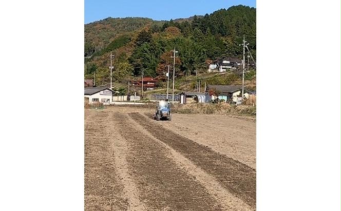 定期便 6ヵ月 もち麦 キラリモチ 約2kg(約1kg×2パック) あかしろ農園 二条 大麦 岡山 国産