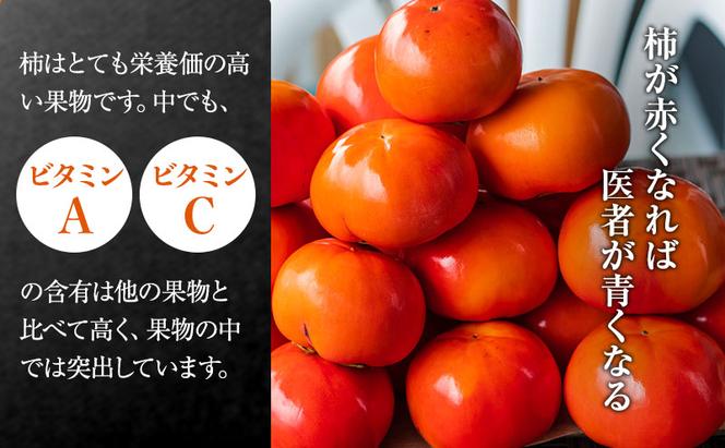 【富有柿の発祥の地　瑞穂市！！】富有柿 贈答用 2L×12個入り｜果物類 ※離島への配送不可 ※2025年11月下旬頃より順次発送予定