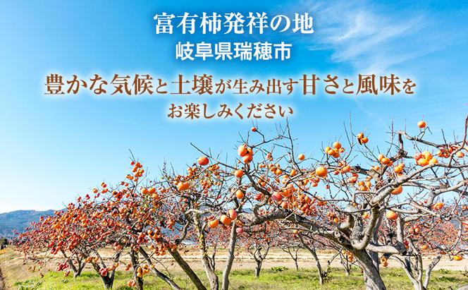 【富有柿の発祥の地　瑞穂市！！】富有柿 贈答用 2L×12個入り｜果物類 ※離島への配送不可 ※2025年11月下旬頃より順次発送予定