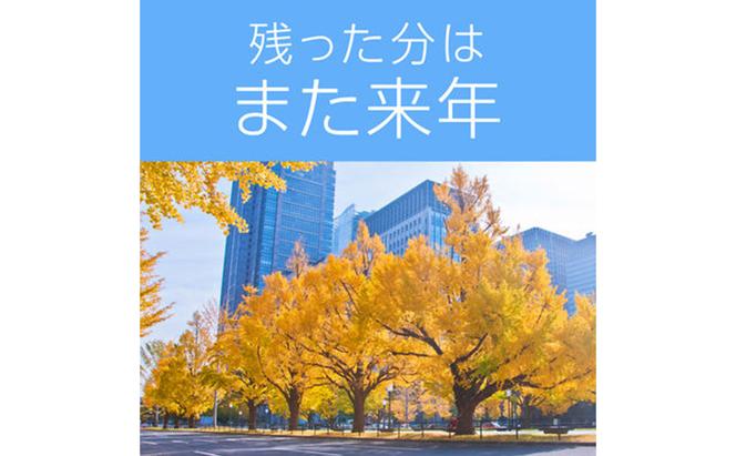 ノーマット 取替えボトル180日用 1箱（3本）