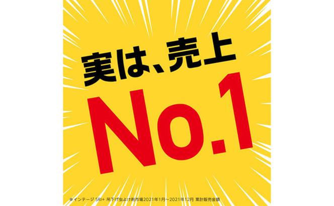 アース虫よけネットEX 160日用 3個 虫よけ 虫対策 虫に効く侵入防止 屋外 吊り下げ ユスリカ