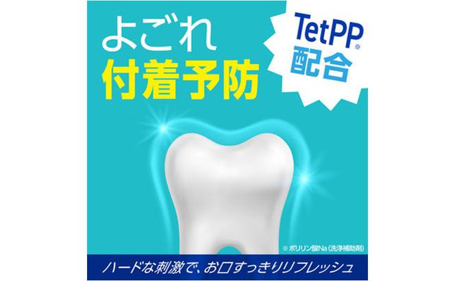 モンダミン　ストロングミント　1080mL　3本 マウスウォッシュ オーラルケア 洗口液 洗浄 よごれ防止 口臭ケア 清潔 殺菌 コーティング キシリトール 歯磨き はみがき 刺激 ミント すっきり 爽快