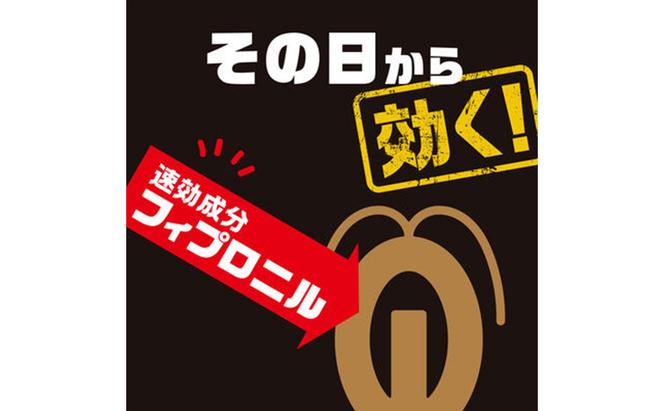 ブラックキャップ 屋外用 1セット(8個×3箱） ゴキブリ駆除 退治 対策 速攻 殺虫 1年