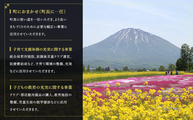 倶知安町 寄附のみの応援受付 40,000円コース（返礼品なし 寄附のみ 40000円）