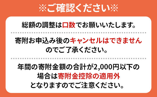 倶知安町 寄附のみの応援受付 40,000円コース（返礼品なし 寄附のみ 40000円）