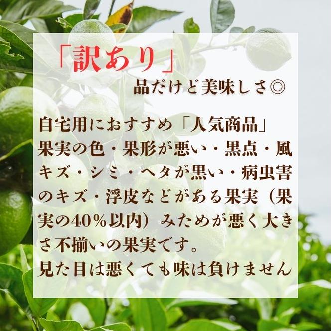 【訳あり】 レモン （ グリーンレモン ） 5kg サイズミック【発送時期：10月～4月】 グリーン レモン 防腐剤 ワックス 不使用 サイズミックス 清家ばんかんビレッジ 愛南町