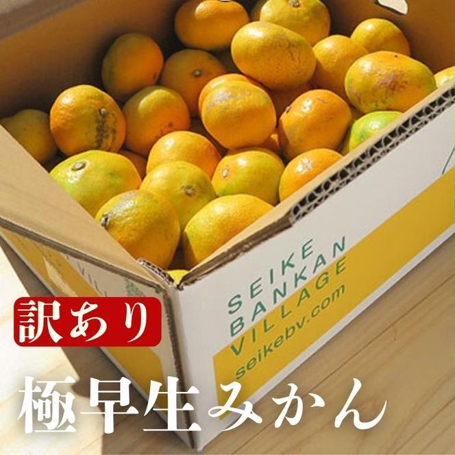 【訳あり】愛媛みかん （ 極早生 ） 5kg【発送時期：９月下旬～10月下旬】2S-Lサイズ サイズミックス 愛媛みかん 温州みかん 一番みかん 柑橘 みかん 愛媛県 愛南町 清家ばんかんビレッジ