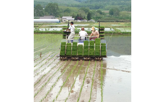 北海道 仁木町産 ななつぼし 5kg お米 米 ご飯 ごはん こめ コメ 精米 白米 弁当 おにぎり