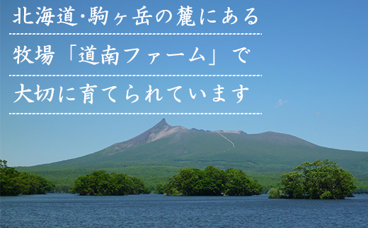 【定期便】北海道産 牛モモ肉 680g 全3回 毎月お届け 肉 赤身肉 鹿部牛