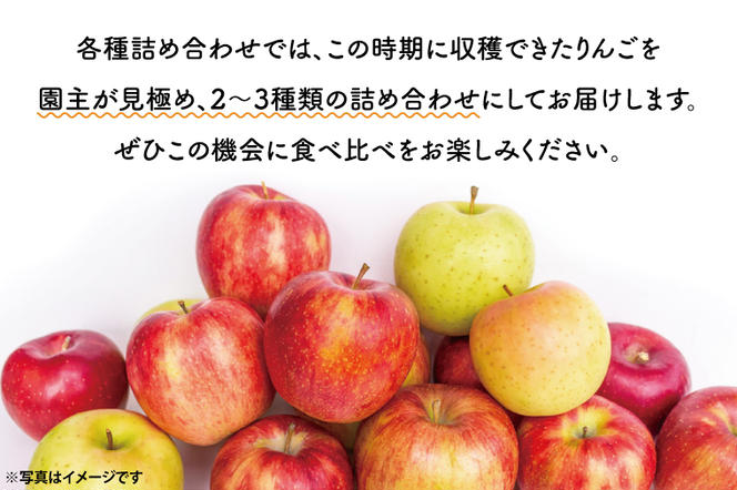 【10月中旬頃順次発送】三村観光りんご園の奥久慈りんご（各種詰め合わせ）約3kg（BX001）