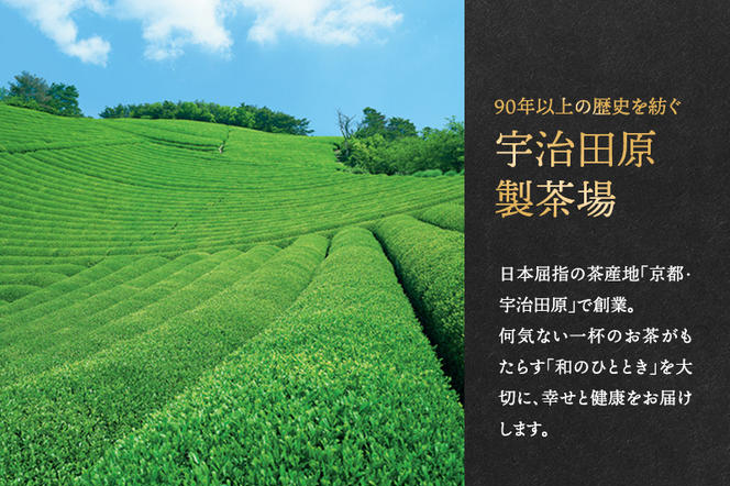 深蒸し煎茶ティーバッグ(40個入×2袋)〈お茶 茶 煎茶 緑茶 深蒸し茶 深むし 宇治 京都 ティーバッグ 加工食品〉