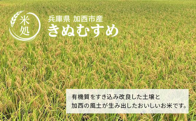 【令和6年産新米予約受付】きぬむすめ 3kg 単一原料米 おいしい お米 事業者支援 白米 精米 国産 ごはん ご飯 白飯 小分け 百合農園