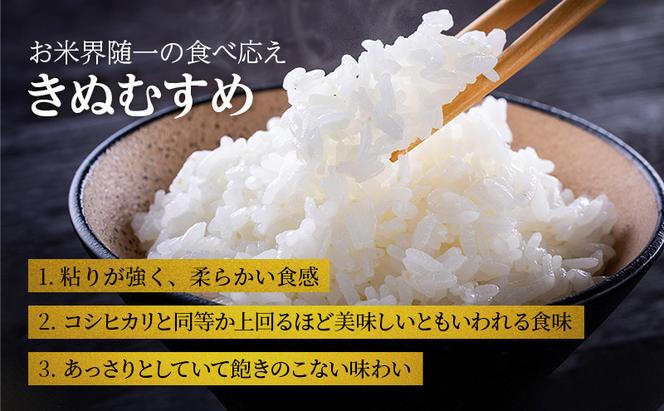 【令和6年産新米予約受付】きぬむすめ 3kg×2袋 単一原料米 おいしい お米 事業者支援 白米 精米 国産 ごはん ご飯 白飯 小分け 百合農園