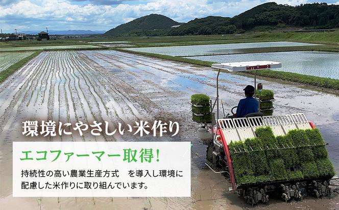 【令和6年産新米予約受付】 定期便 コシヒカリ 3kg×2袋 12ヶ月連続お届け 単一原料米 おいしい お米 事業者支援 白米 精米 国産 ごはん ご飯 白飯 小分け 百合農園