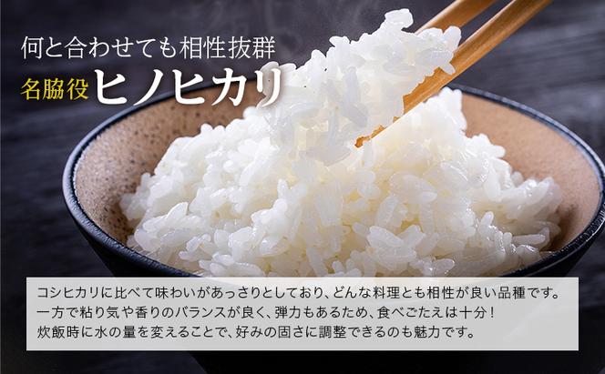 【令和6年産新米予約受付】 定期便 ヒノヒカリ 3kg×2袋 3ヶ月連続お届け 単一原料米 おいしい お米 事業者支援 白米 精米 国産 ごはん ご飯 白飯 小分け 百合農園