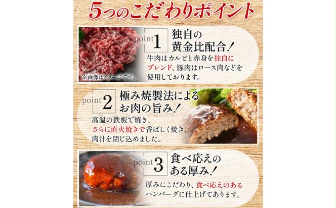 【定期便】肉汁あふれるデミグラスハンバーグ6個入 3ヶ月定期便 　日ハム 冷凍 個食 使い切り