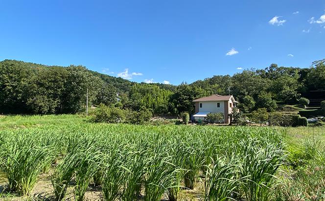 マコモ 真菰コスメセット まこも 真菰パウダー マコモ粉末 真菰せっけん 真菰クリーム 兵庫県 福崎町