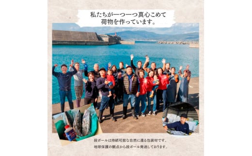 ～四国一小さなまち～ ★訳あり★ 高知県産カツオのわら焼きタタキ（自家製タレ付）1kg 2ヶ月定期便 1節約300g かつお 鰹 鰹のたたき 藁焼き 刺身 さしみ 惣菜 おかず 海鮮 魚介類