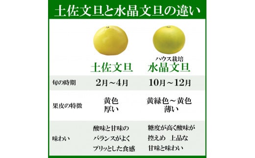 水晶文旦 Lサイズ 7個入り 約3kg 3キロ 果物 柑橘 フルーツ ぶんたん ブンタン みかん 分担 高知県土佐市 お取り寄せ 産地直送 おいしい 美味しい 返礼品 白木果樹園