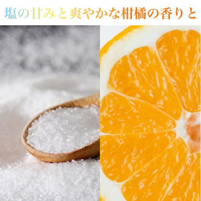 フィナンシェ 塩みかん 10本セット お菓子 焼き菓子 バレンタイン ホワイトデー 河内晩柑 愛南ゴールド バター入り 10個 スイーツ 詰め合わせ 贈答 プレゼント 贈り物 ギフト 個包装 crelo 愛媛県 愛南町