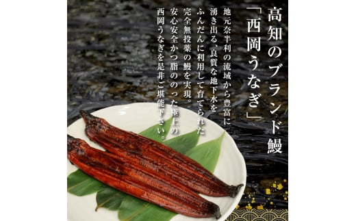 《3ヶ月定期便》高知ブランド鰻「西岡うなぎ」《超特上》うなぎの蒲焼き2尾セット(約440g) オリジナルタレ 山椒付き 国産 ウナギ 鰻 真空パック 冷凍配送 高知県産 うな重 丼