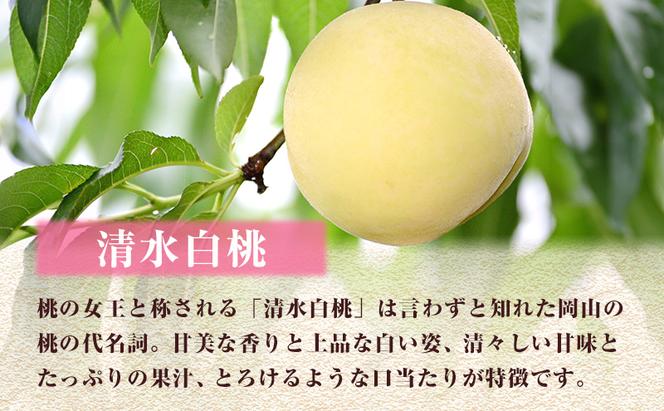 【2025年 先行予約】桃 岡山県産 岡山 白桃 2種 食べ比べ プラン 2回 コースA ( 白鳳 ・ 清水白桃 各1.5kg) 《2025年7月上旬-8月上旬頃出荷》 白桃 岡山 数量限定 期間限定 岡山 里庄町 モモ もも 桃 定期便