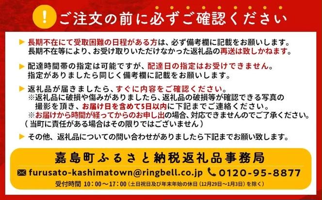 FKK19-939_【先行予約】嘉島町産ドルチェドリーム4kg ※令和7年4月中旬より発送開始 野菜 とうもろこし トウモロコシ 甘い ジューシー ドルチェドリーム 嘉島町