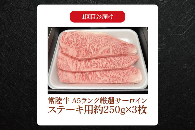 FL-30　【常陸牛】肉の藤井商店（定期便）常陸牛グルメコース ～至福の3ヶ月～ 定期便 3か月 贅沢牛肉定期便 高級牛肉 贅沢牛肉 毎月お届け 最高級牛肉 ギフト定期便 豪華牛肉 A5 厳選 サーロイン モモステーキ ハンバーグ 高級ステーキ 特選ステーキ お中元 お歳暮 国産 牛肉 肉 お肉 最高級 ブランド牛 贈答 化粧箱 黒毛和牛 和牛 国産黒毛和牛 国産牛（茨城県共通返礼品）