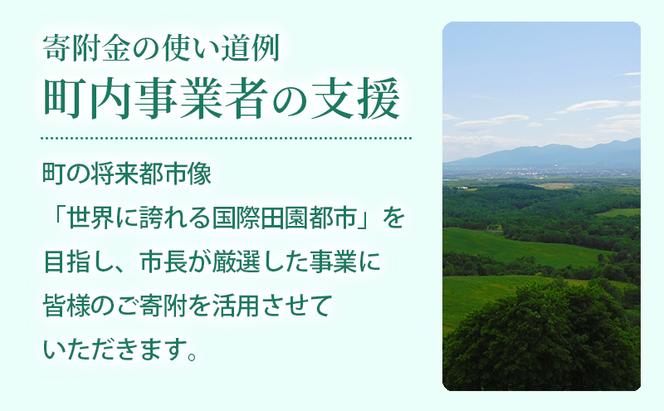 滝川市 ふるさと支援 寄附のみの応援受付 5,000円コース（返礼品なし 寄附のみ 5000円）