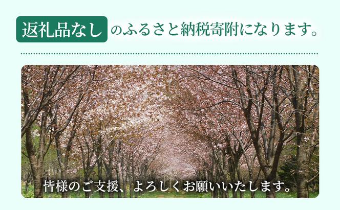 滝川市 ふるさと支援 寄附のみの応援受付 5,000円コース（返礼品なし 寄附のみ 5000円）