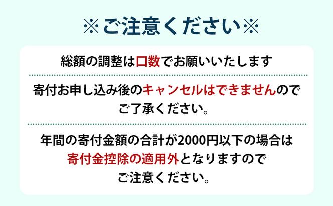 滝川市 ふるさと支援 寄附のみの応援受付 5,000円コース（返礼品なし 寄附のみ 5000円）